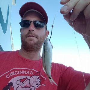 Meet your Posher, Dave